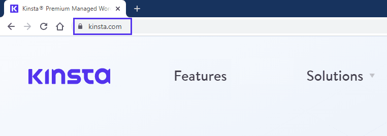 An example of the Kinsta's top level domain.